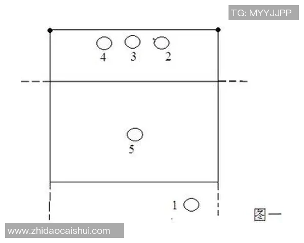 南京排球队的战术控制解析与发展趋势探讨